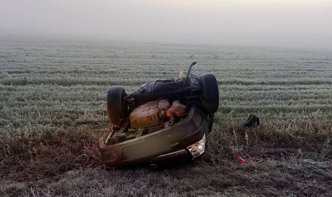 ДТП в Гомельской области