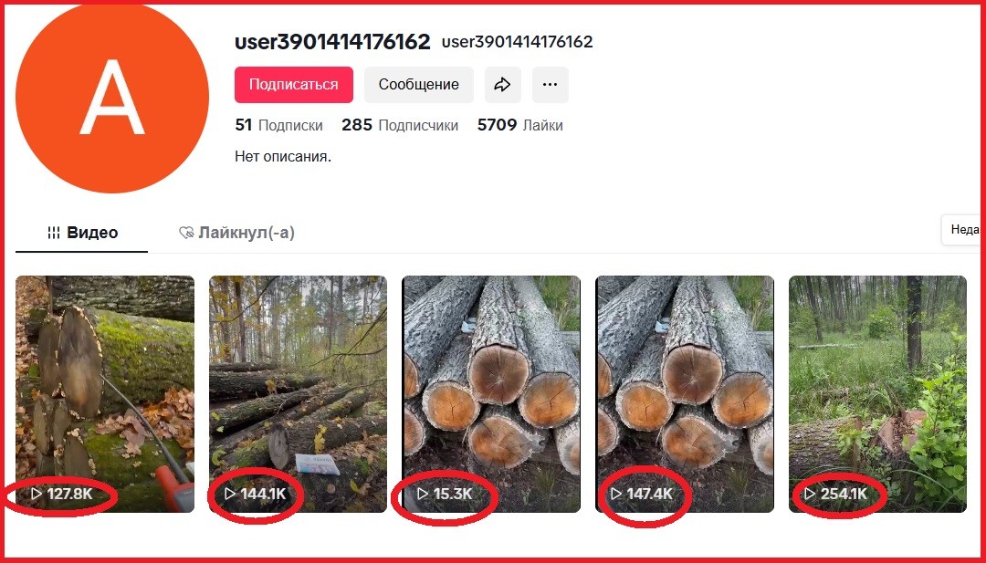 спиленный лес