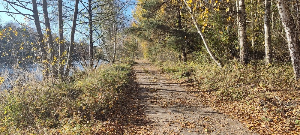 Осенний пейзаж у одного из каналов в Белоозёрске
