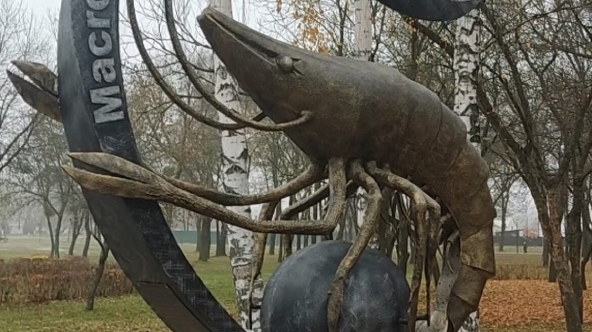 Памятник креветке в Белоозёрске