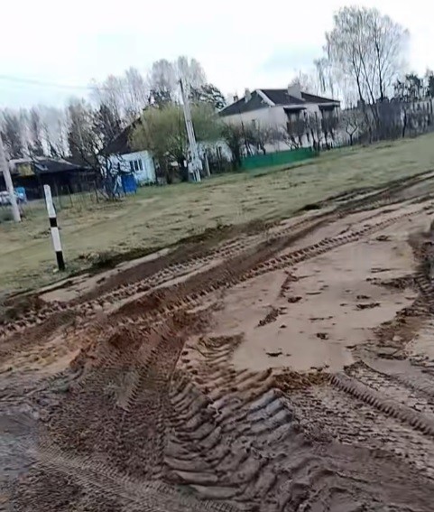 Та самая лужа через пару дней