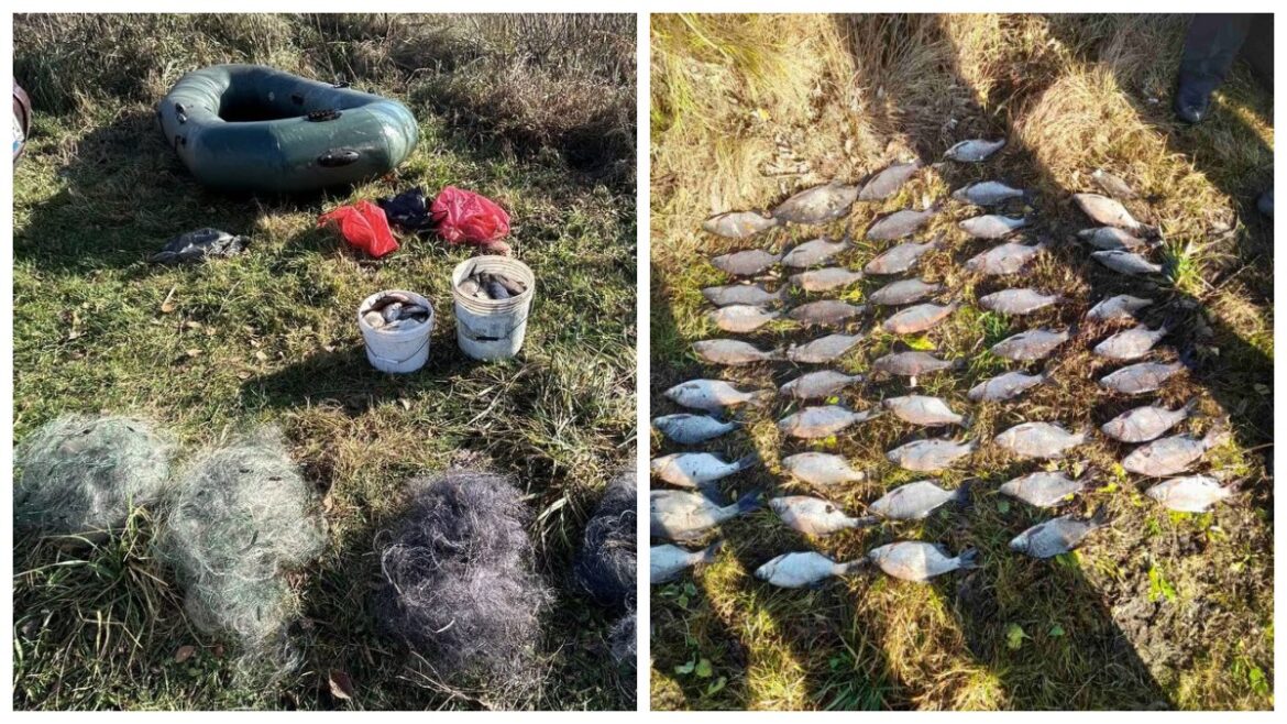 Браконьеры в Ляховичском районе