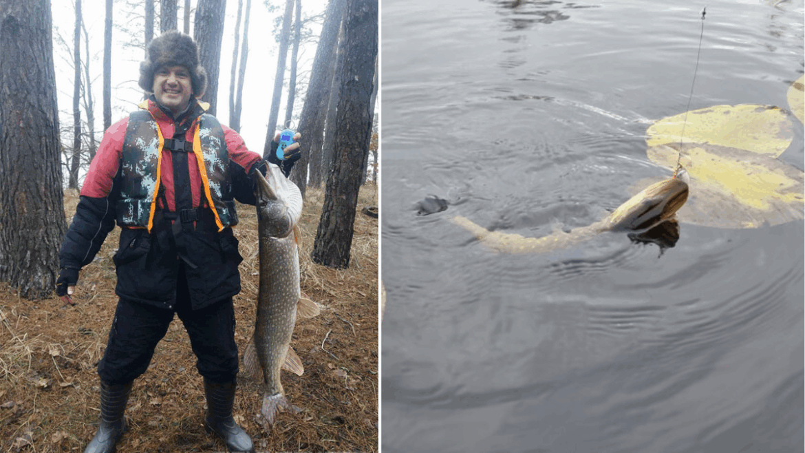 Рыбак в зимней одежде держит свой трофей на фоне леса.