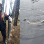 Рыбак в зимней одежде держит свой трофей на фоне леса.