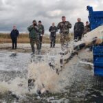 Зарыбление