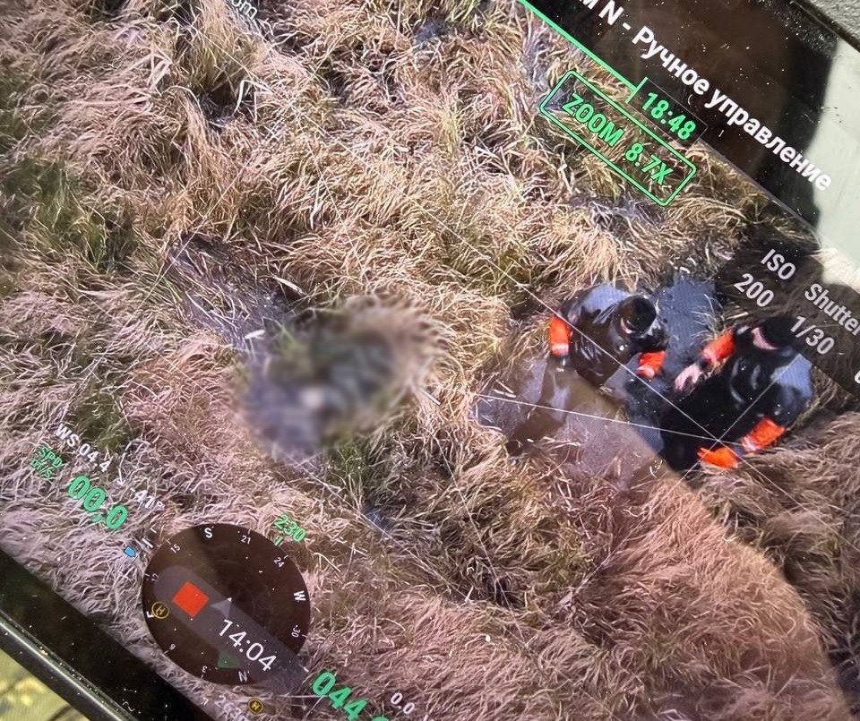 Поиск Березинский район