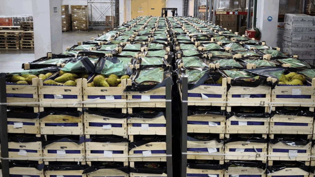 груши с фур на складу