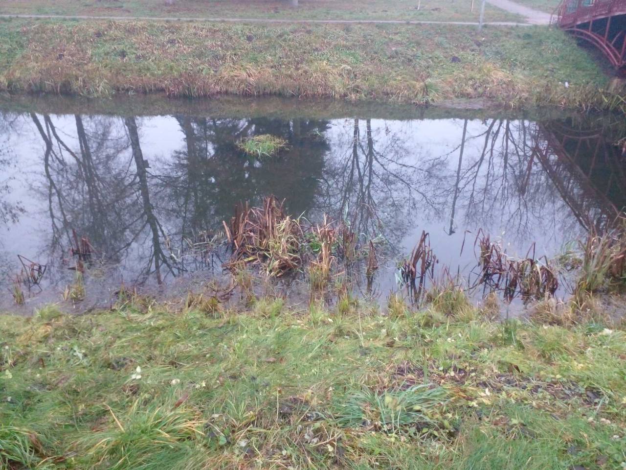 Река здесь не глубокая