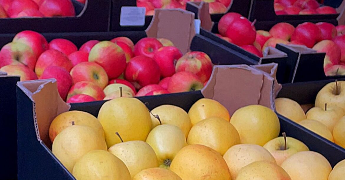 Цены на рынке в Таборах