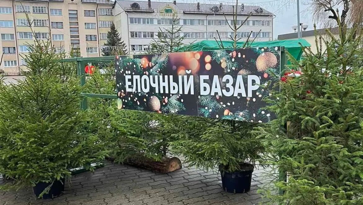 Ёлочный базар в Ивацевичах