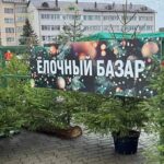 Ёлочный базар в Ивацевичах