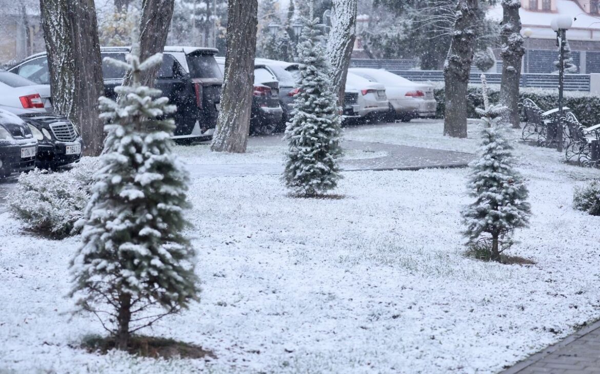 погода в Беларуси в январе с 13 по 18