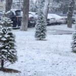 погода в Беларуси в январе с 13 по 18