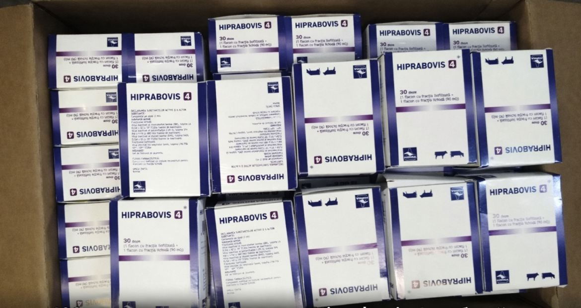 Недекларирование ветеринарных препаратов – коробки с вакцинами обнаружены при досмотре на границе