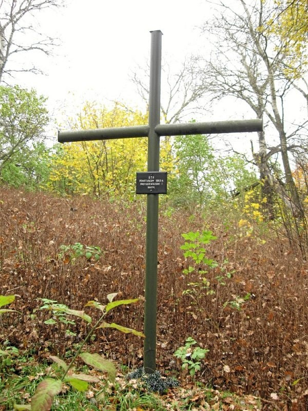 Крыж у Гарадзішчы