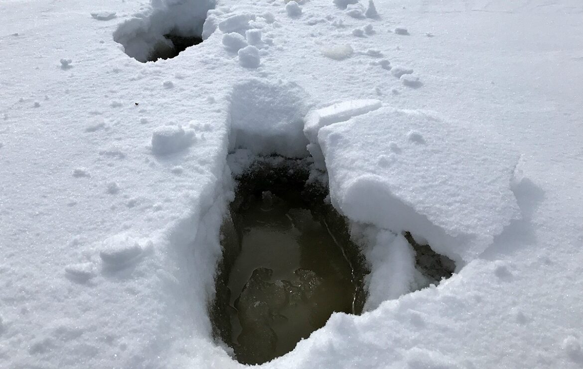 толщина льда в Беларуси 10 января 2026 года