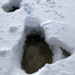 толщина льда в Беларуси 10 января 2026 года