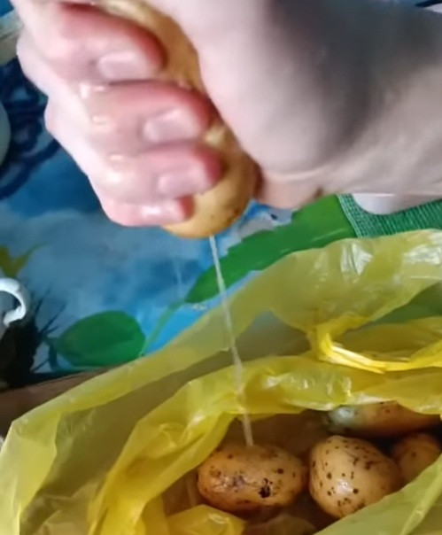 Мёрзлый картофель в Гомеле