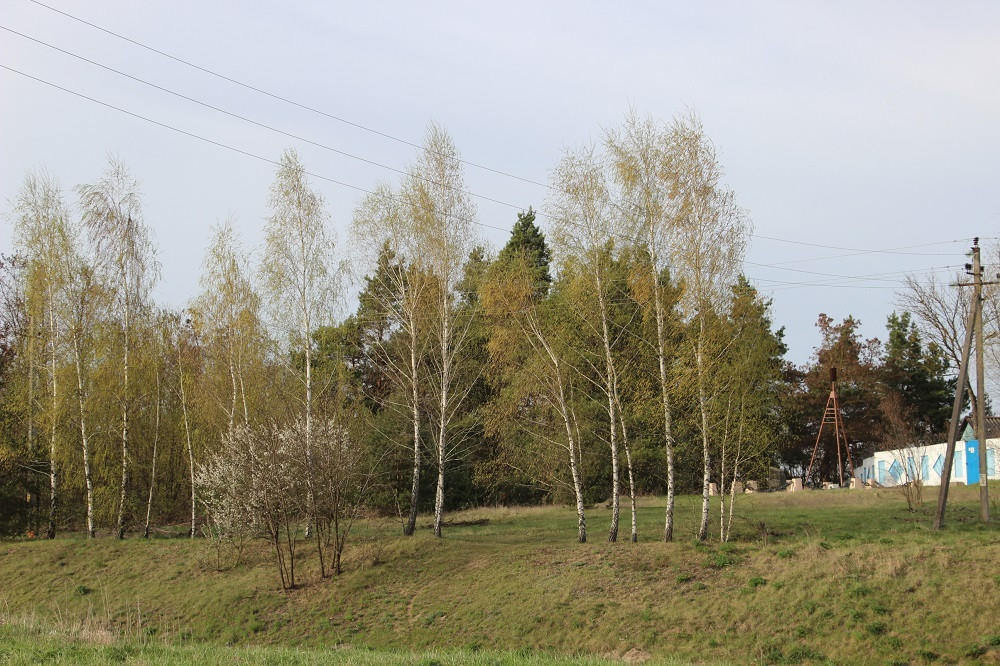 Шыбельная гара