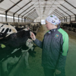 Вакансии Белоруснефть в сельском хозяйстве – работа на агропредприятии компании