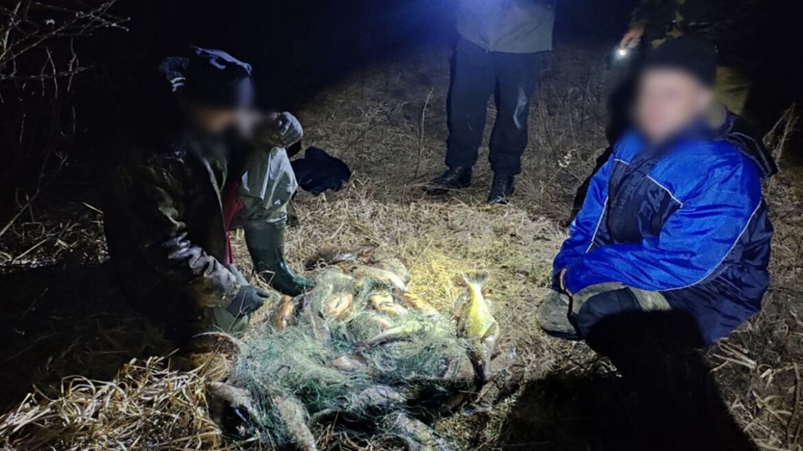 Браконьеры попались в Пинском районе