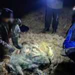 Браконьеры попались в Пинском районе