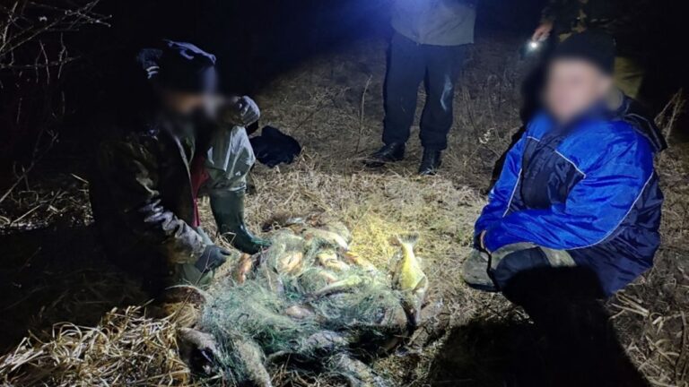 Браконьеры попались в Пинском районе