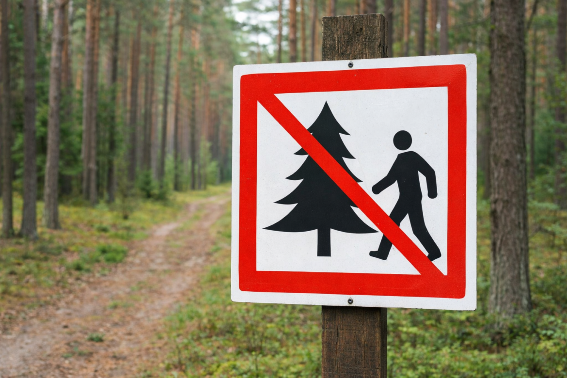 Ограничения леса Брестская область – знак запрета на посещение леса из-за пожароопасности