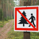 Ограничения леса Брестская область – знак запрета на посещение леса из-за пожароопасности