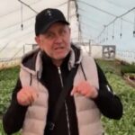 Пинский фермер Диковицкий