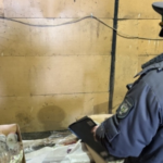 незаконный экспорт в Беларусь – проверка груза с орхидеями на границе