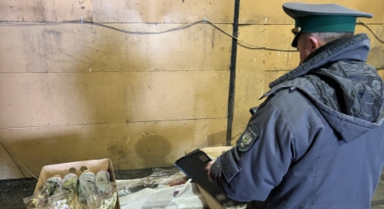 В Пинск не доехали 700 орхидей – груз развернули, штрафы оказались символическими незаконный экспорт в Беларусь – проверка груза с орхидеями на границе