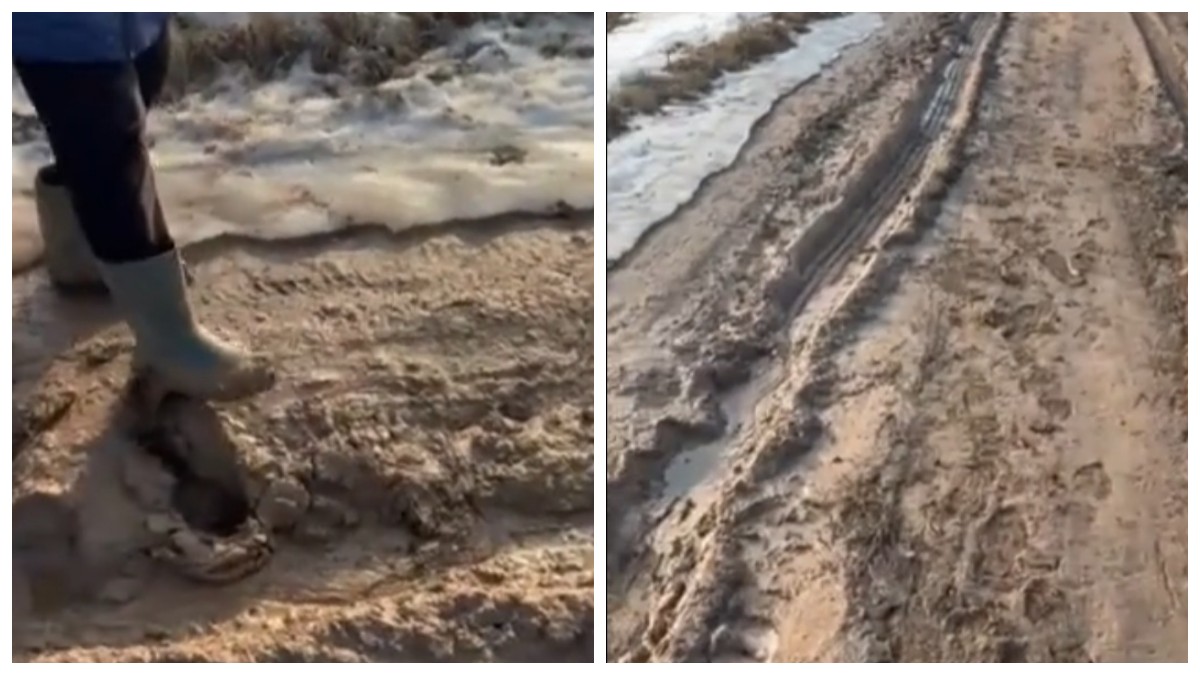 Дорога в деревне Шнуры