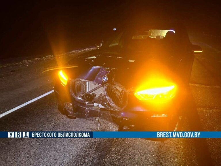 В Пинском районе BMW сбил велосипедиста ДТП Лопатино