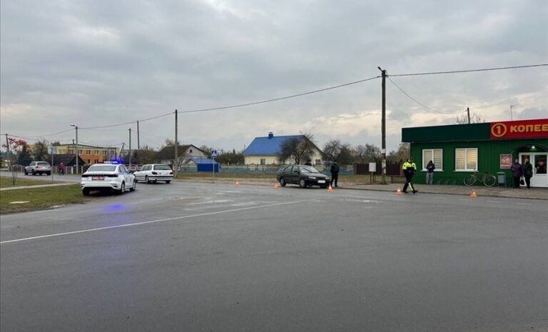 Огласили приговор водителю, который насмерть сбил женщину в Телеханах ДТП Телеханы