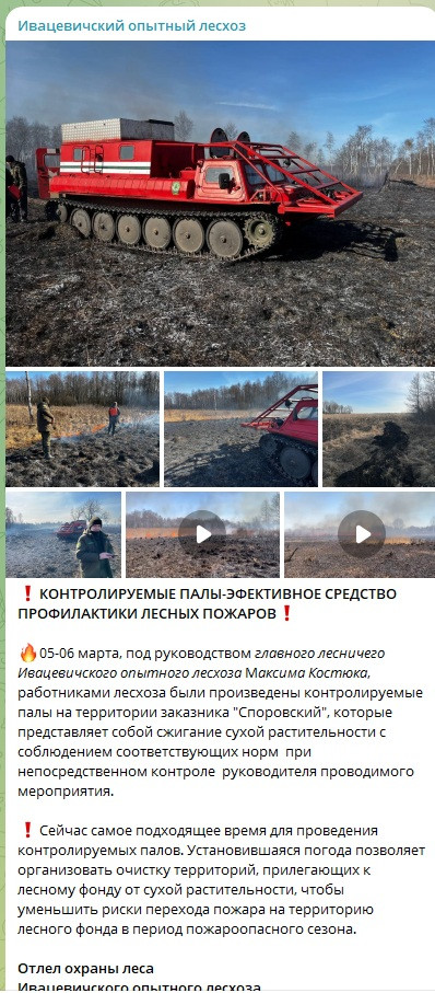 Ивацевичский лесхоз