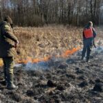 Контролируемые палы