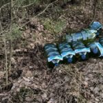 Солярка в лесу