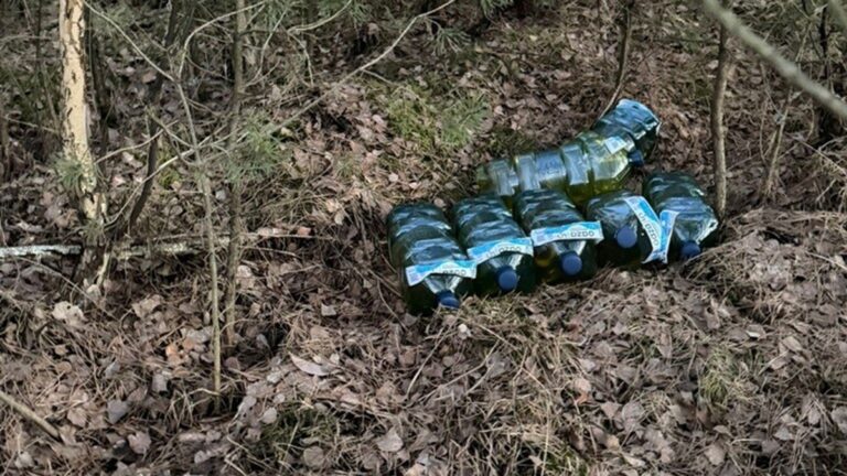 В Польше попался дальнобойщик из Беларуси, который выбрасывал соляру в лесу Солярка в лесу