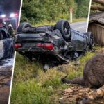 Страховые выплаты