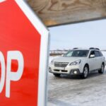 Убивают скот