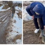 Жалобы на дороги