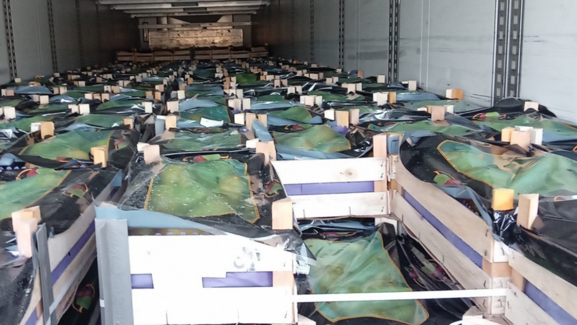 груши с поддельными документами – партия фруктов в грузовике