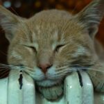 Погода потеплеет