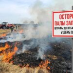 весенние палы