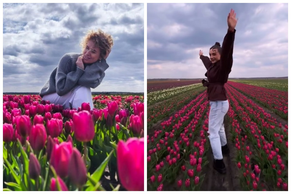 Тюльпановые поля
