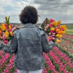 Тюльпановые поля