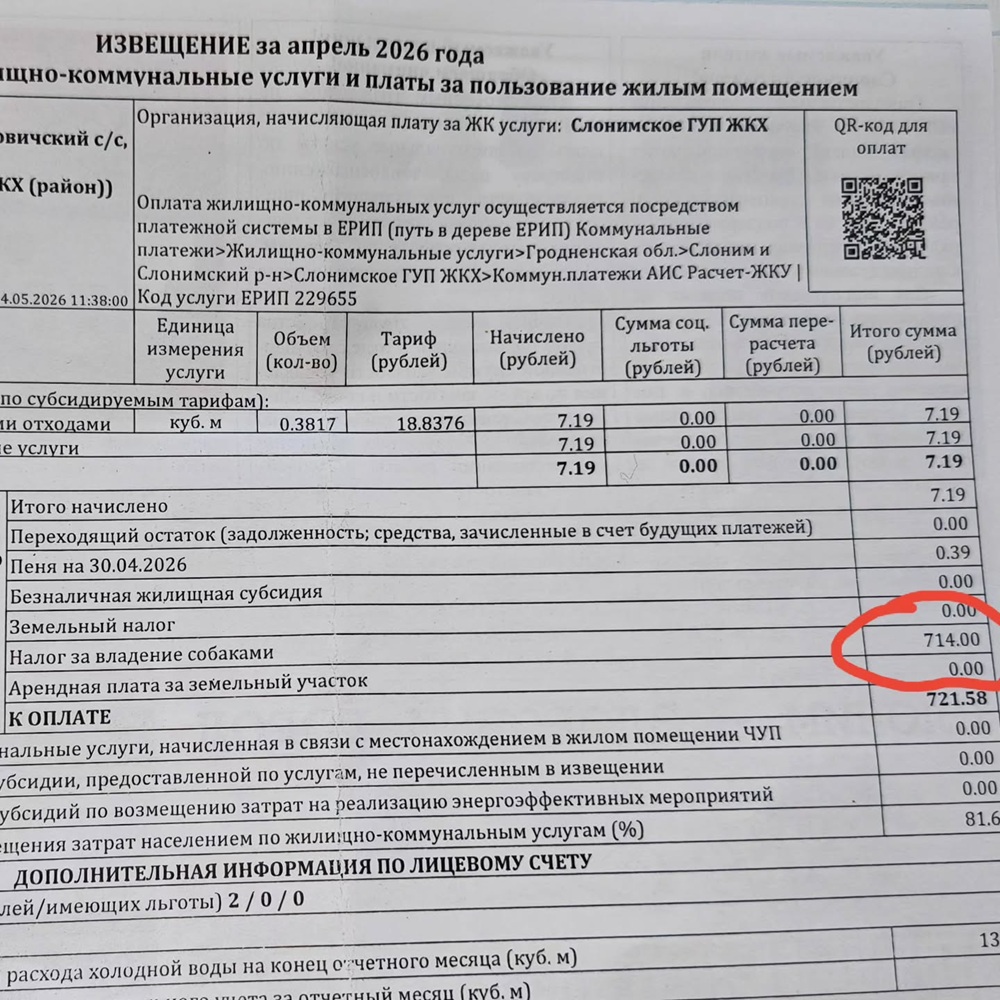 налог на собак
