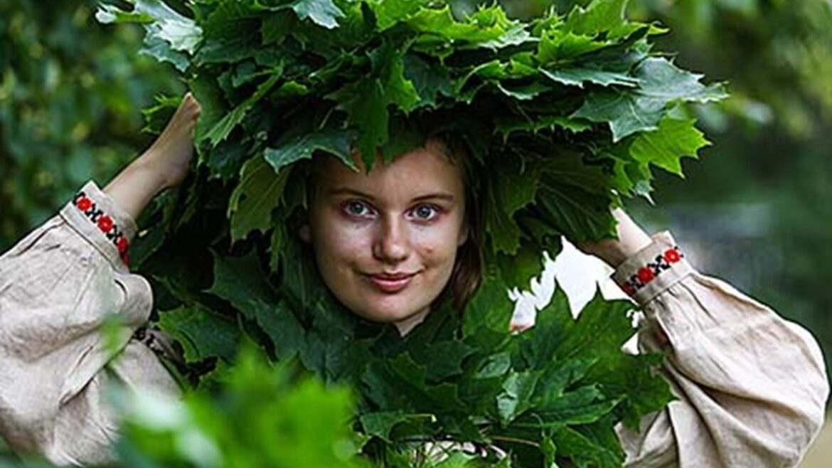 Вождение куста