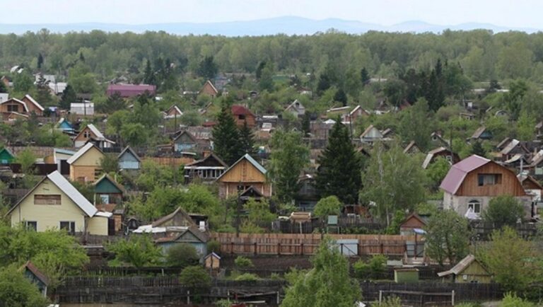 В Беларуси хотят запретить праздники и сауны в садовых товариществах Дачный кооператив